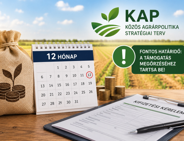 KAP-támogatások: fontos határidőre figyelmeztet a Nemzeti Irányító Hatóság