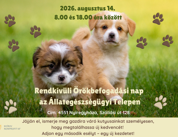 Egy hűséges társ várhat Önre – Rendkívüli örökbefogadási napot tartanak Nyíregyházán