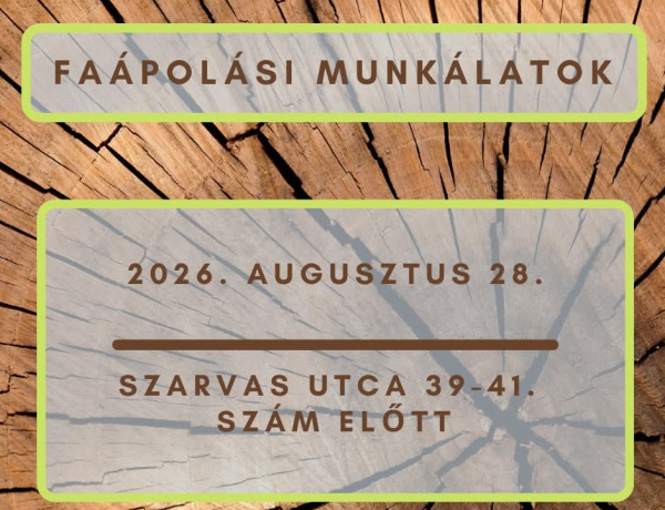 Faápolási munkálatokat végeznek a Szarvas utcán