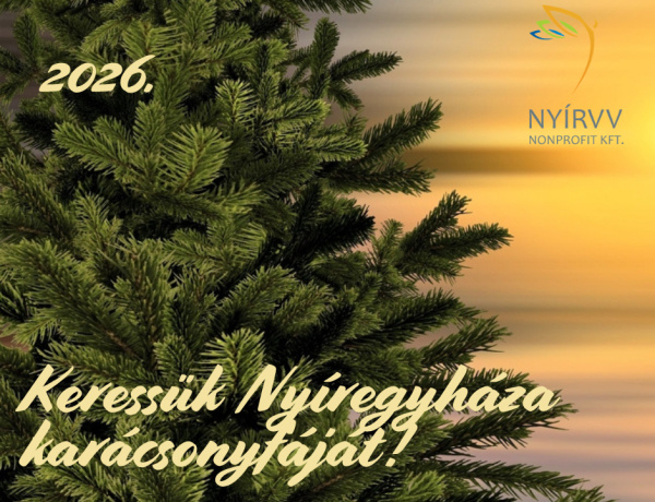 Már keresik Nyíregyháza karácsonyfáját – Idén akár az Ön fenyője is díszítheti a Kossuth teret
