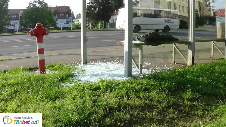 Buszmegállót romboltak ismeretlenek a Kiskörúton  - A rendőrség keresi az elkövetőket