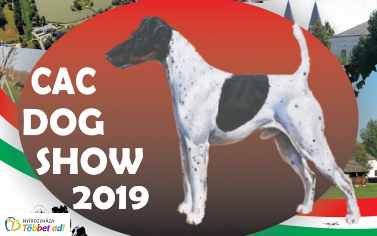 CAC Dog Show 2019 – Nemzetközi kutyakiállításnak ad otthont Nyíregyháza