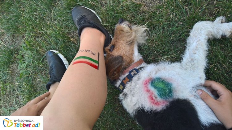 Tetoválás, festés-színezés és manikűr! Mindez a kutyáknál is divat – Ebkozmetikus mesél!