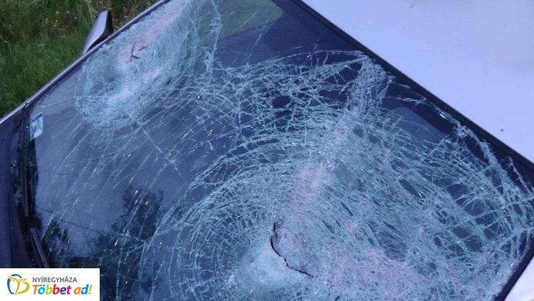 Baromfiláda repült le egy nyerges vontatóról - Betörte egy autó szélvédőjét