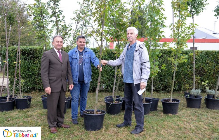 Több mint 200 pályázat érkezett a NYÍRVV Ültess egy fát a holnapért című felhívására
