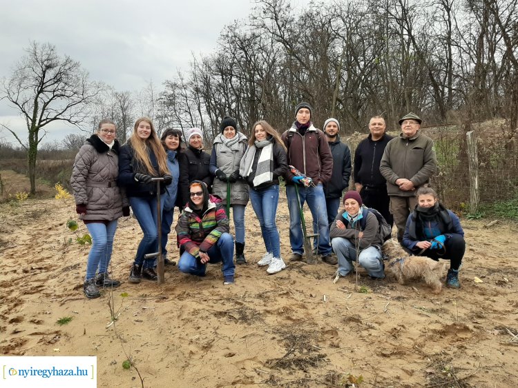Önkéntesek ültettek facsemetéket Nyíregyházán, a Sóstói-erdőben