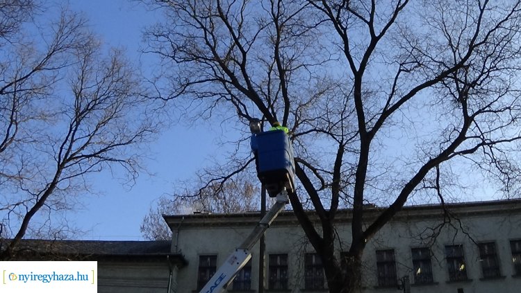 Forgalomkorlátozás mellett végeztek munkálatokat a E.ON munkatársai a Szarvas utcán