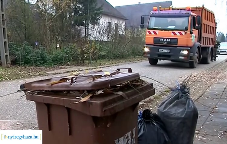 Március első hetétől indul a zöldhulladék elszállítása Nyíregyházán