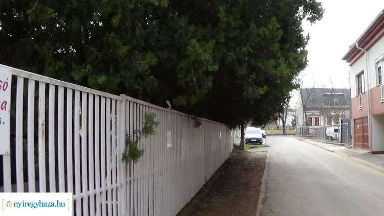 A Kálmán utcán gallyazási munkákat végeznek szombaton! Ne parkoljanak a kerítés mellett