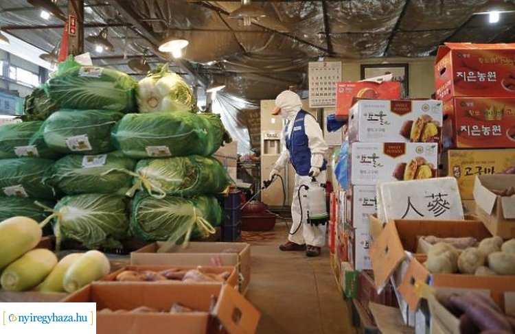 Több forgatókönyv is készül a koronavírus okozta gazdasági károk enyhítésére