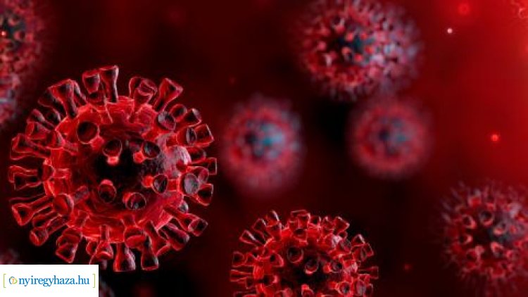 58-ra nőtt az új koronavírussal fertőzött betegek száma hazánkban