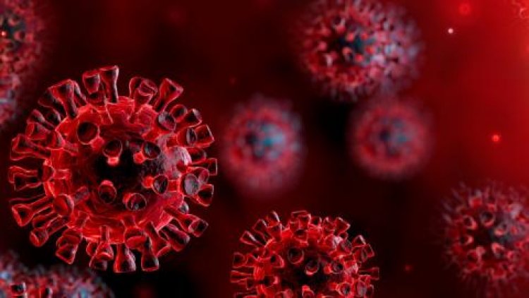 343-ra nőtt a beazonosított koronavírus-fertőzöttek száma és elhunyt egy újabb idős beteg