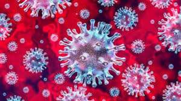 Az Egészségügyi Világszervezet (WHO) összeállítása a koronavírus körüli tévhitekről