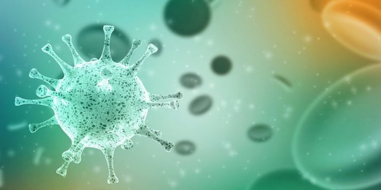 Egy amerikai immunológus szerint megvan a koronavírus kezelésének lehetséges ellenszere