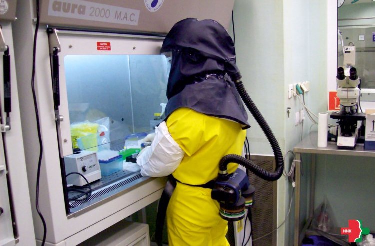 Laborvezető: többféle koronavírust is izoláltak a Nemzeti Népegészségügyi Központban