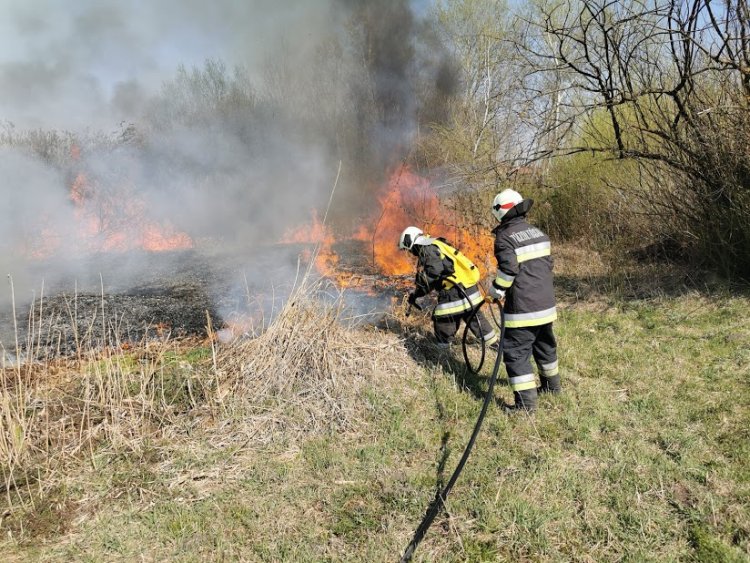 Hektárnyi terület égett Oroson - A tűzoltók megfékezték a lángokat