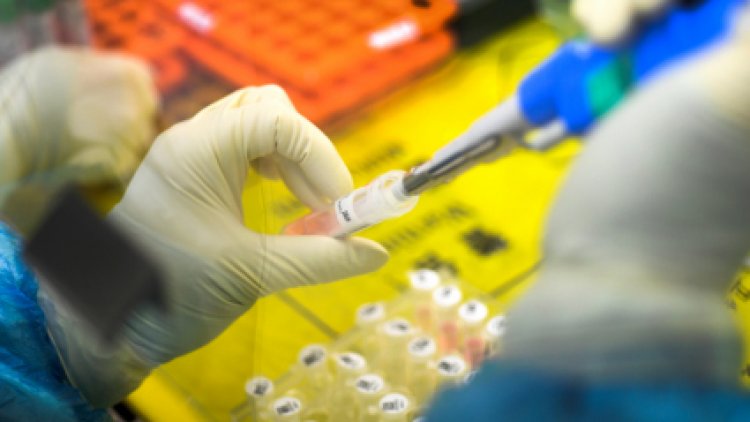 ITM: 33 ezer kutatót érinthet a kutatásfejlesztési bértámogatás