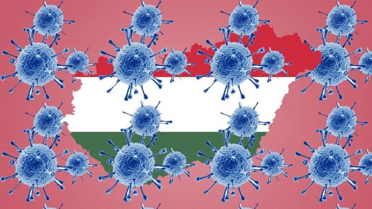 WHO: A magyar intézkedések visszaszorították a vírus gyors terjedését