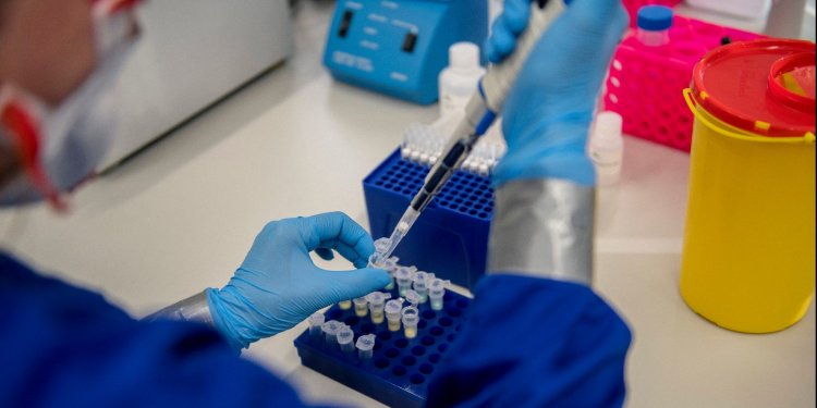 Harminckét vírusminta teljes genetikai analízisét végezték el pécsi kutatók
