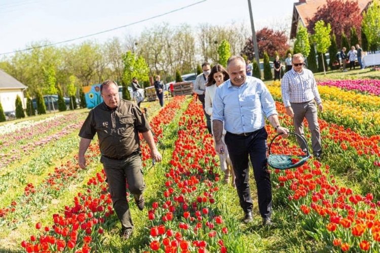 A kormány csomagja komolyan érinti a kertészeti ágazatban dolgozókat is