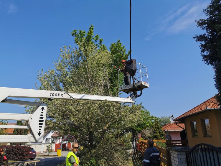 Gallyazás a város több pontján - Több ág belelógott az elektromos vezetékekbe