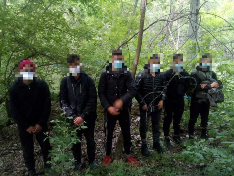 11 határsértőt fogtak el Röszkénél - Személyazonosságát egyikük sem tudta igazolni