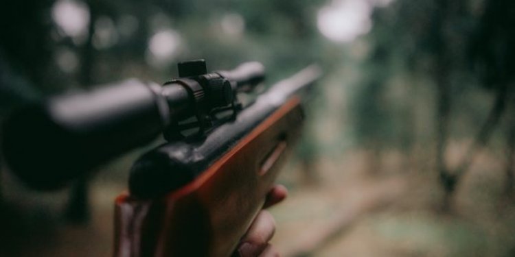 Tragikus vadászbaleset Újfehértón – Két kilométerről adhatták le a halálos lövést 