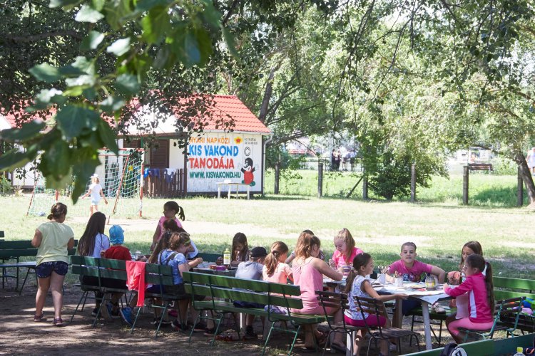 Önkormányzati Táborok és meleg étel a nyári szünetben - Minden információ egy helyen