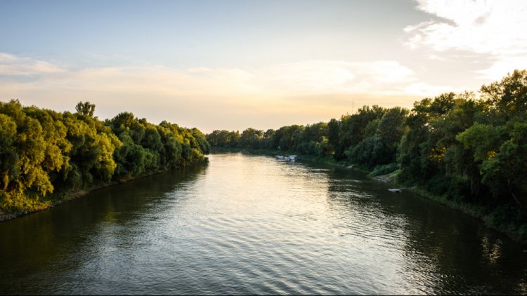 Szerelmi bánatból ugrott a Tiszába – A NAV munkatársa és rendőr társa mentették meg