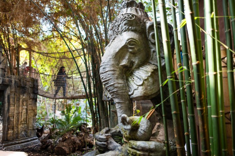 A Nyíregyházi Állatpark Zöld Piramisában garantált a trópusi hangulat