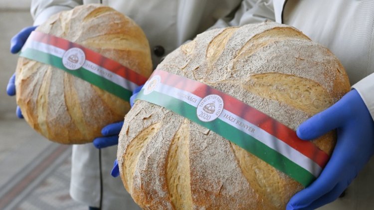 A rozmaringos-burgonyás cipó lett 2020 leginnovatívabb kenyere