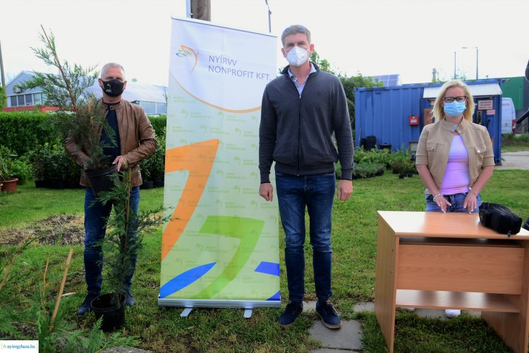 Városszépítés a lakossággal – Kiosztotta a NYÍRVV a korábban igényelt növényeket 