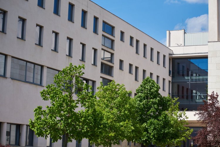 Modellváltás – a cél, hogy önálló maradjon a Nyíregyházi Egyetem, új fejlődési pályán