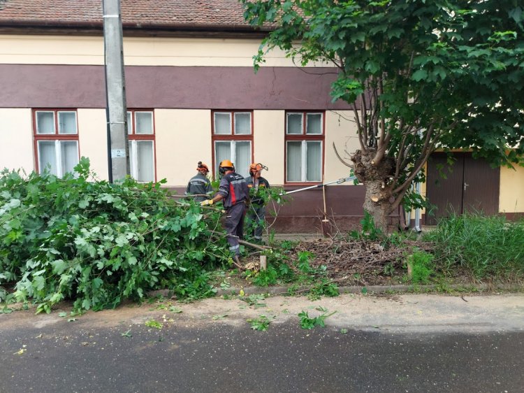 Forgalomkorlátozás mellett dolgoztak a NYÍRVV munkatársai a Liszt Ferenc utcán