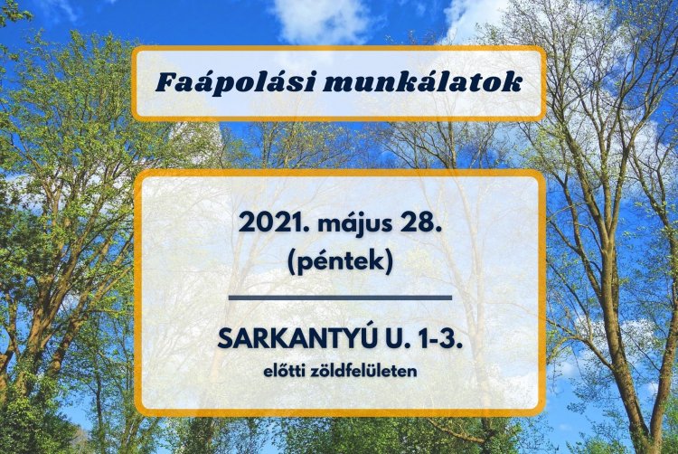 Faápolási munkálatokat végeznek a NYÍRVV szakemberei pénteken a Sarkantyú utcán