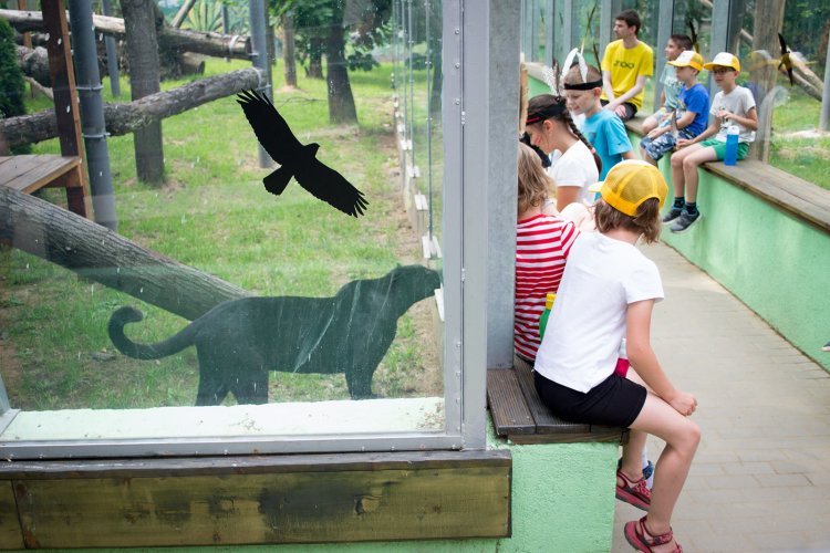 Az állati programok mellett a kézműveskedés sem marad ki a Zoo-Suli foglalkozásai közül