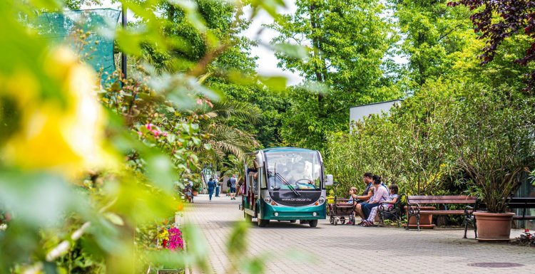Péntektől vasárnapig ingyenes akadálypályával várja a látogatókat a Nyíregyházi Állatpark