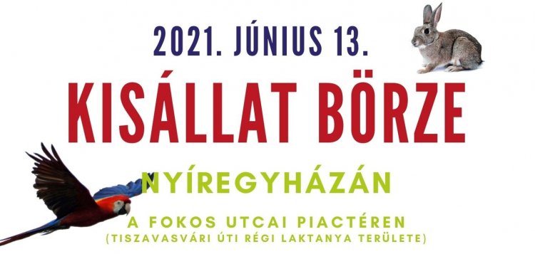 Június 13-án ismét megnyitja kapuit a kisállat börze a Fokos utcai piactéren
