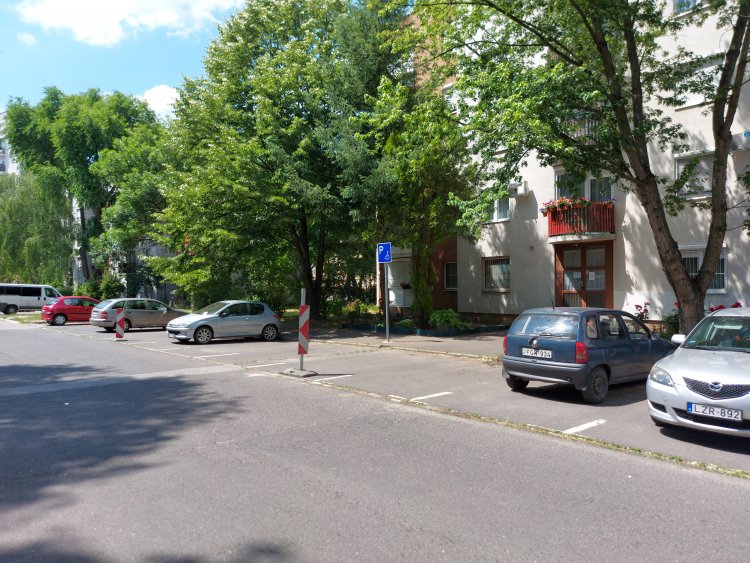 Az Erdő soron fák ápolását végezték a NYÍRVV szakemberei    
