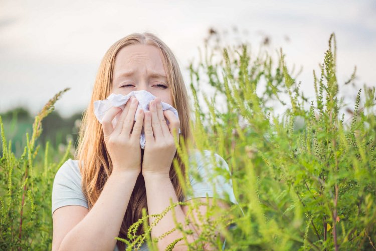 Nehéz időszak előtt állnak az allergiások                                                