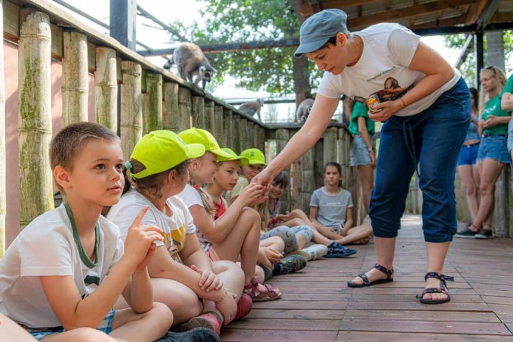 Zoo Suli – Óriási az érdeklődés, idén a négyszáz hely mindössze egy óra alatt betelt
