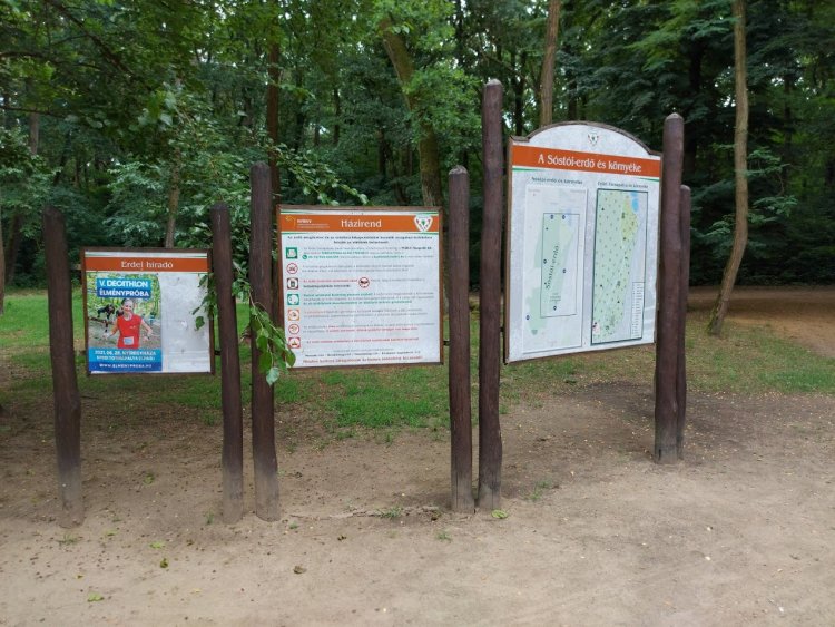 Helyreállította a hétvégi károkat a Nyírerdő és a NYÍRVV a Sóstói-erdőben