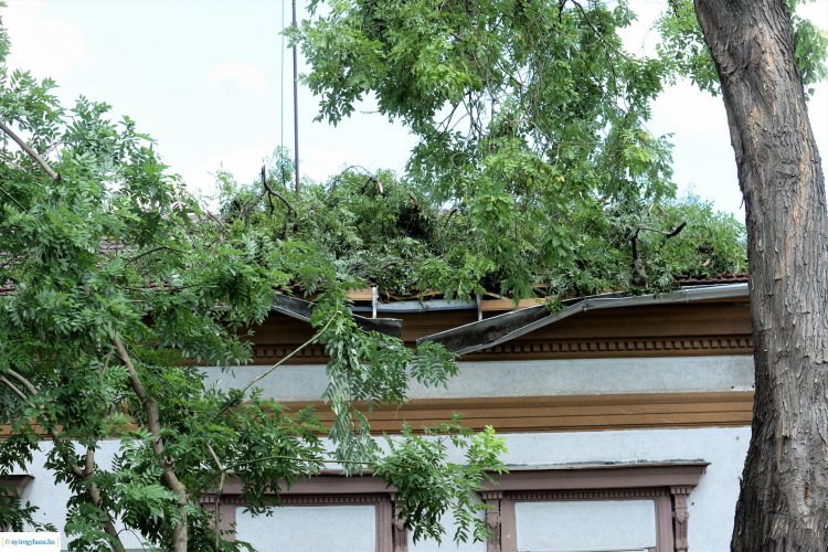 Még kedden is tartottak a kárfelszámolási munkálatok a vasárnap délutáni vihar után