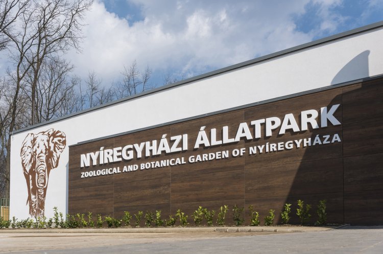 Egyre több a látogató a Nyíregyházi Állatparkban                                          