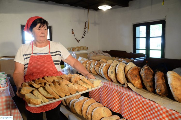 Új kenyér ünnepe a Sóstói Múzeumfaluban - Nézze meg helyszíni fotóinkat!