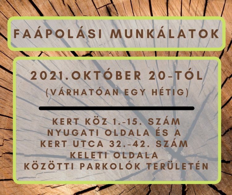 Faápolási munkálatokat végez október 20-tól a NYÍRVV a Kert közben