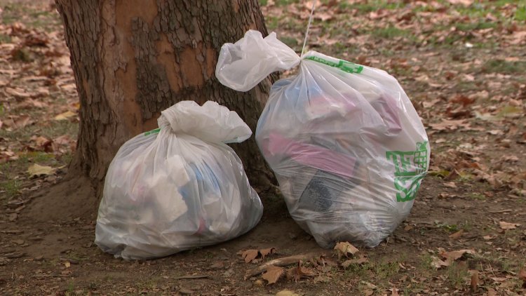 TeSzedd – Jósaváros is csatlakozott a hulladékgyűjtő akcióhoz             