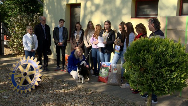 Jótékonykodott a Rotary InterAct Club – Az Állatbarát Alapítványnak gyűjtöttek a fiatalok