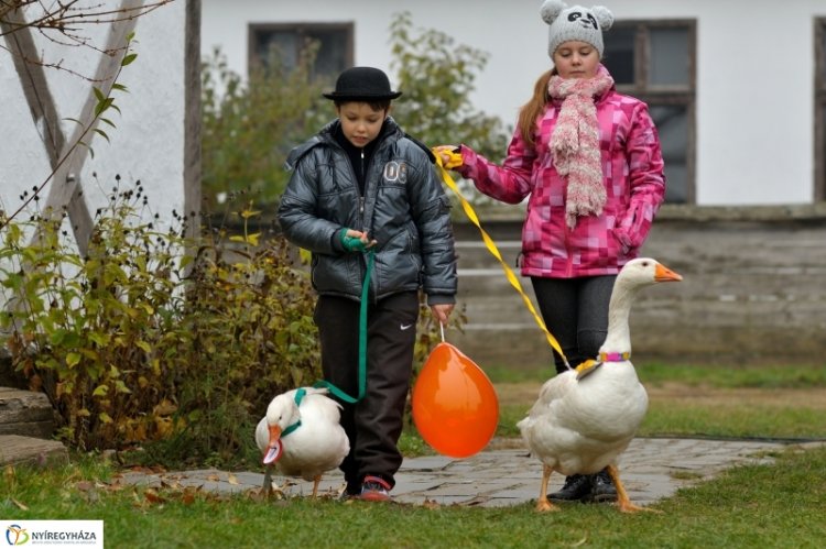 Programokban gazdag ősz a Sóstói Múzeumfaluban – Már a Márton-napra készülnek