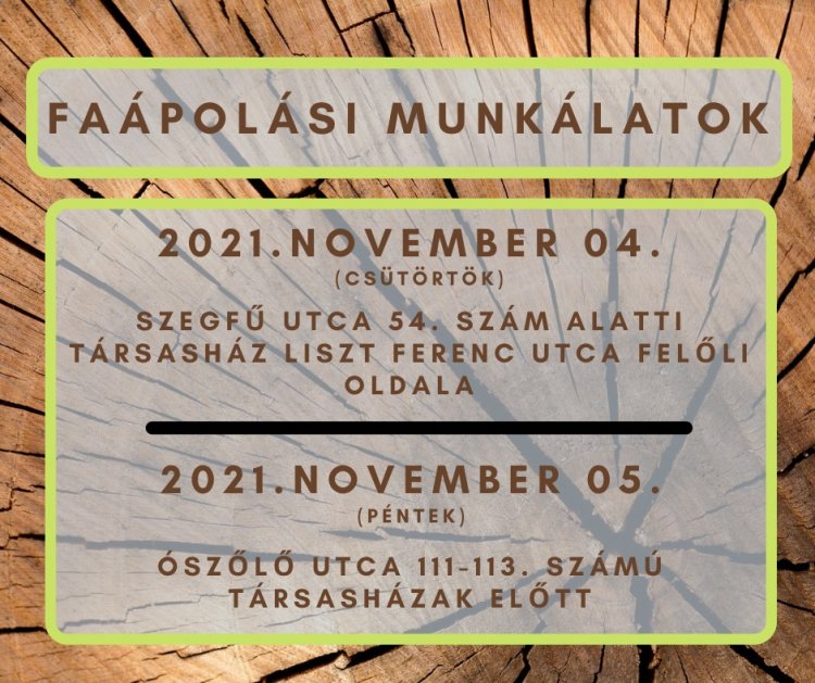 A NYÍRVV Nonprofit Kft. a héten több helyszínen is faápolási munkálatokat végez